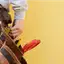 Handyman repair service in Fort Lauderdale, FL for home fixes and improvements