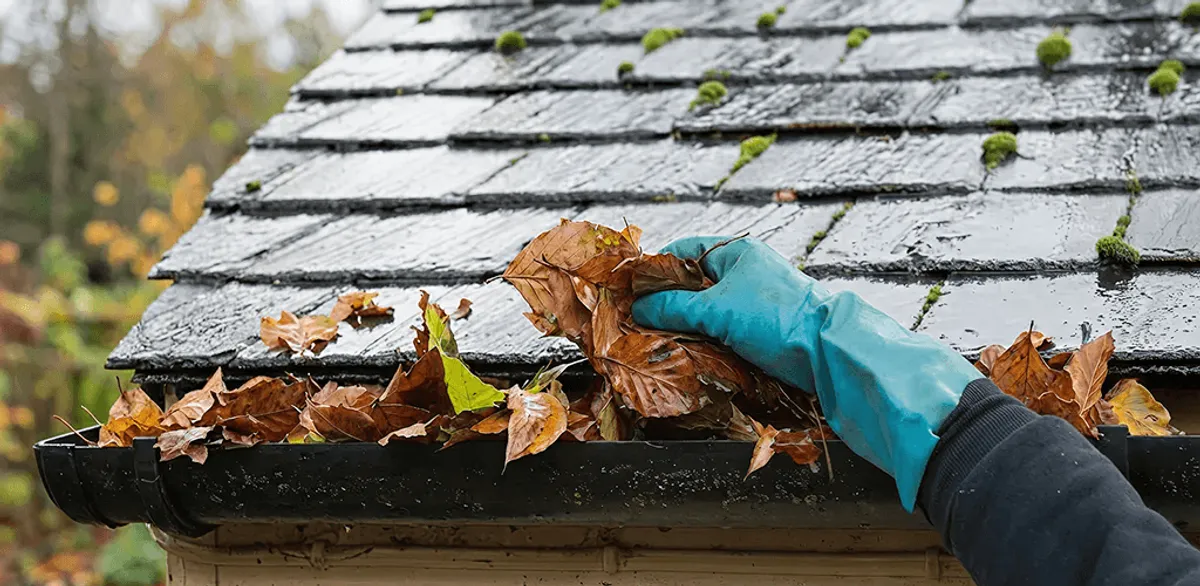 Gutter cleaning technician clearing wet leaves from roof gutters in Fort Lauderdale, FL